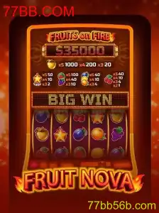 Descubra a Excitante Experiência de Jogo com FruitNova
